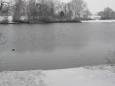 2017 december  (11)