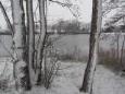 2017 december  (12)