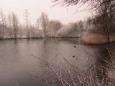 2017 december  (13)