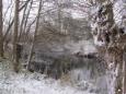 2017 december  (15)