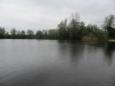 IMG 0005