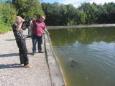 IMG 0003[1]
