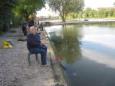 IMG 0011[1]
