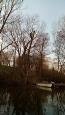 Snoeiweerk maart (3)